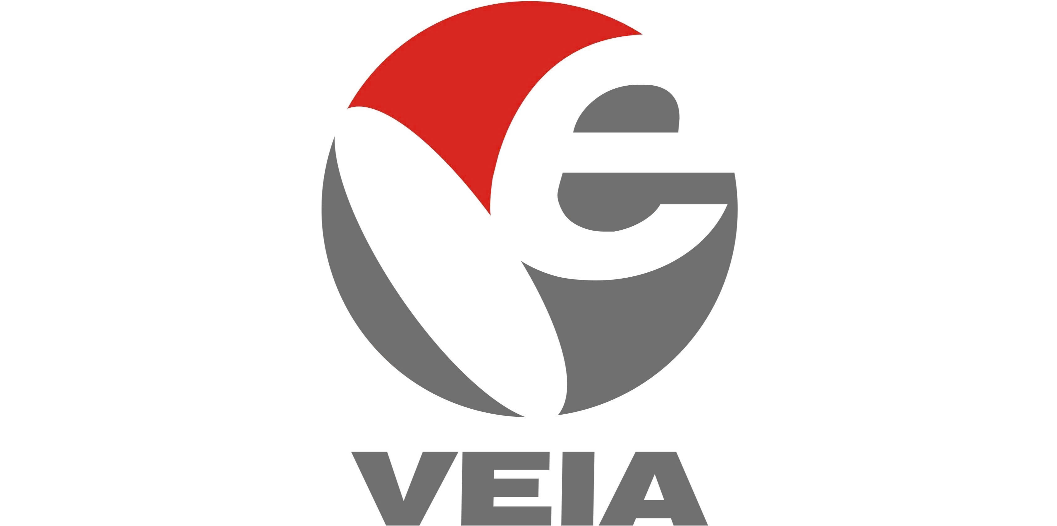 1-Vietnam electronic Industry association.png