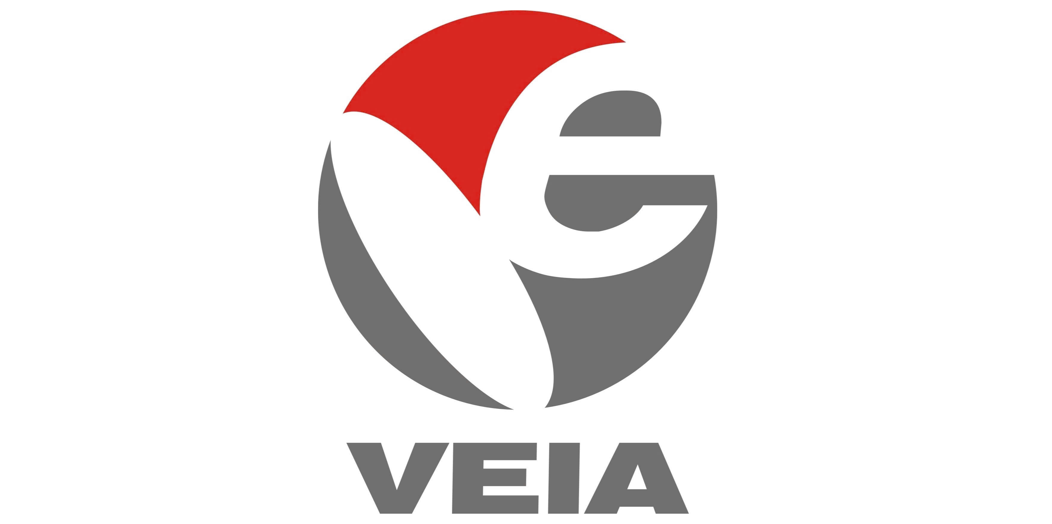 1-Vietnam electronic Industry association.png